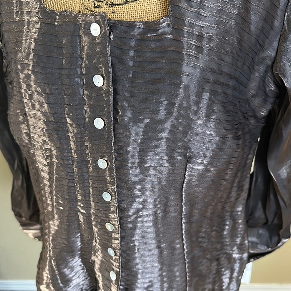 Sheer Blouse - Picture 3 of 7